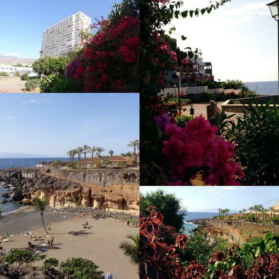 Elena Studio Costa Adeje  Exteriör bild